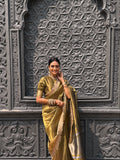 Heritage Gold Partywear Saree